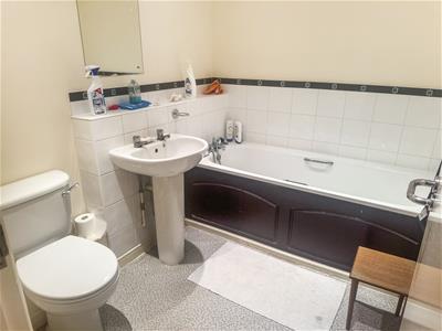 Picture 8